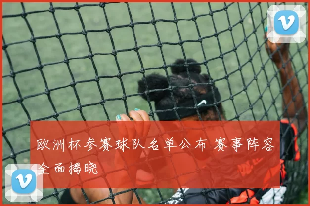 欧洲杯参赛球队名单公布 赛事阵容全面揭晓