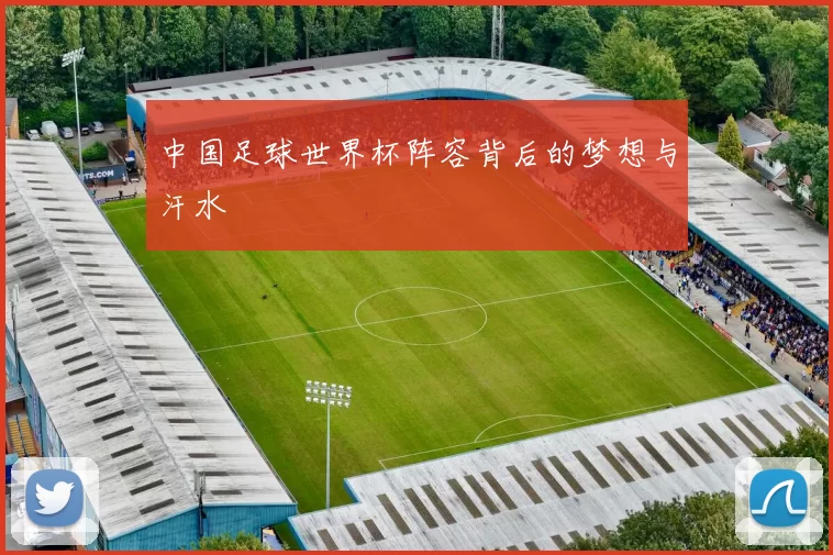 中国足球世界杯阵容背后的梦想与汗水