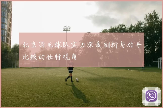 北京羽毛球队实力深度剖析与对手比较的独特视角