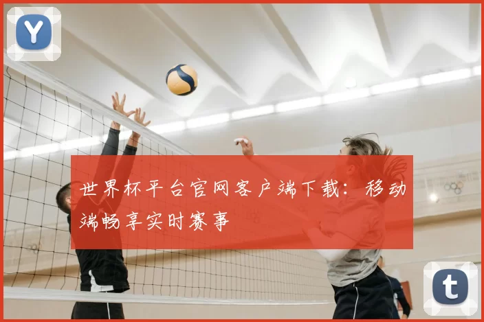世界杯平台官网客户端下载：移动端畅享实时赛事