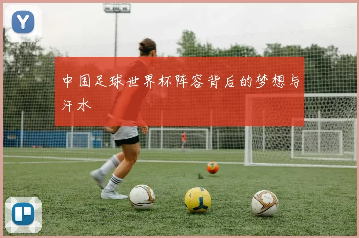 中国足球世界杯阵容背后的梦想与汗水