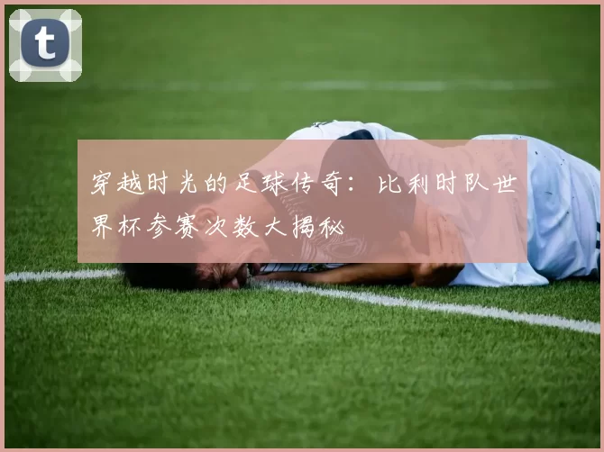 穿越时光的足球传奇:比利时队世界杯参赛次数大揭秘