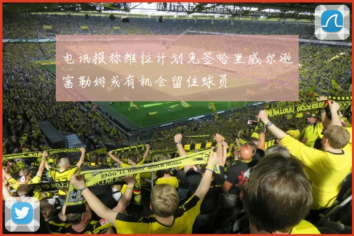 电讯报称维拉计划免签哈里威尔逊富勒姆或有机会留住球员