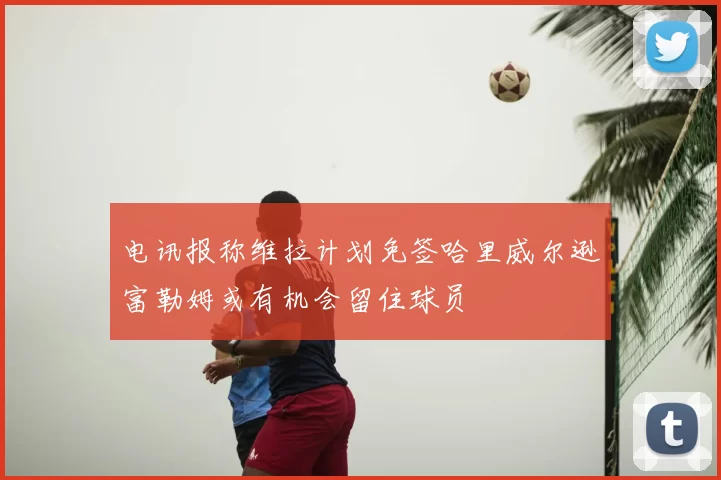 电讯报称维拉计划免签哈里威尔逊富勒姆或有机会留住球员