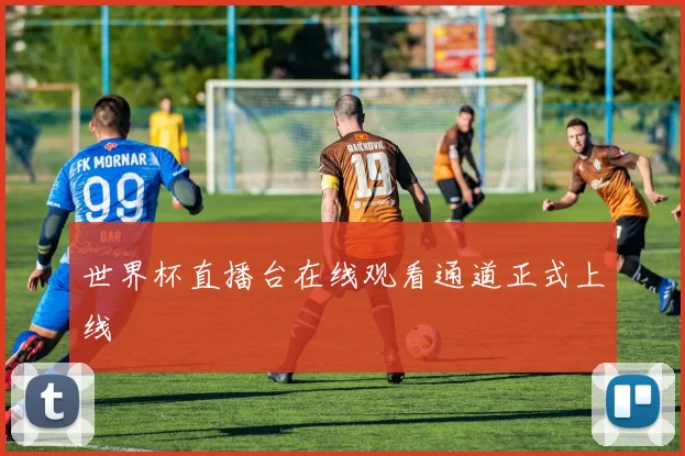 世界杯直播台在线观看通道正式上线